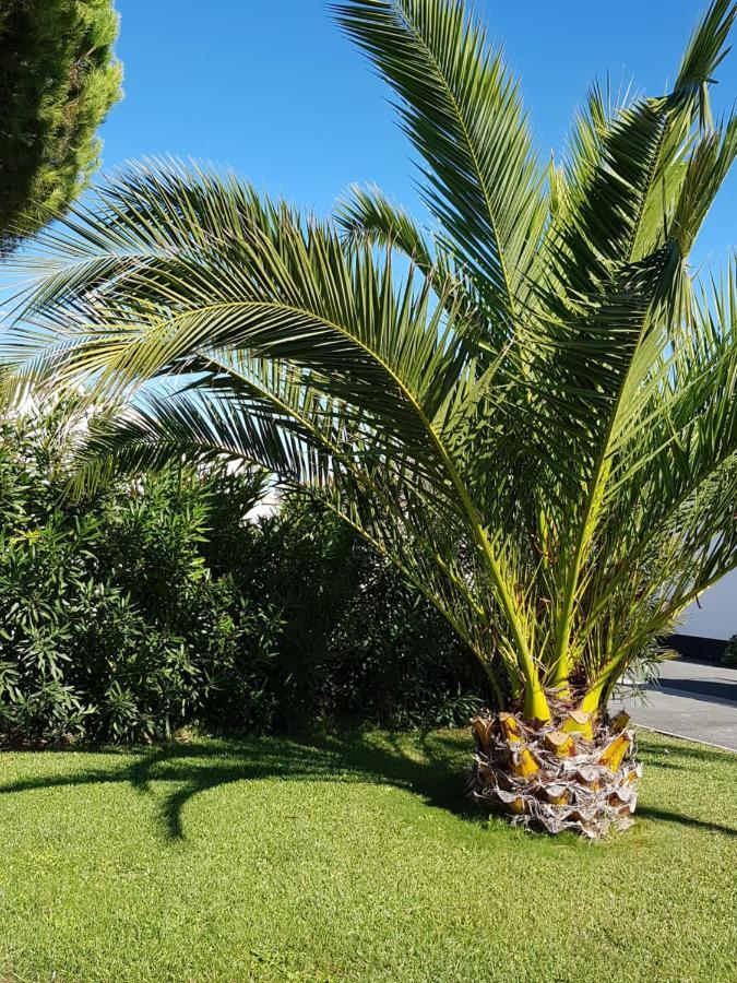 Hotel Jerodel Le Bois-Plage-en-Ré Dış mekan fotoğraf